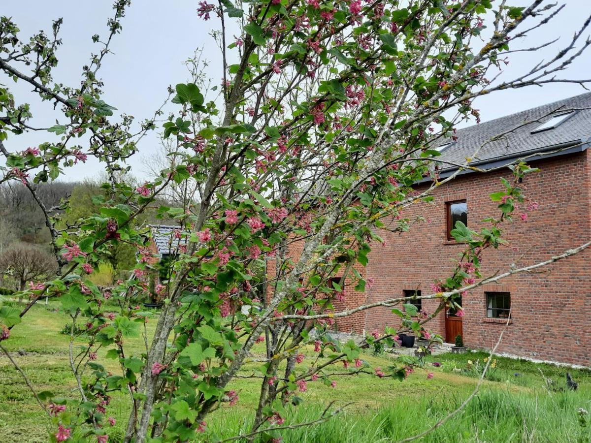 Bed and Breakfast Aux Saveurs D'Enneille Durbuy Exteriér fotografie